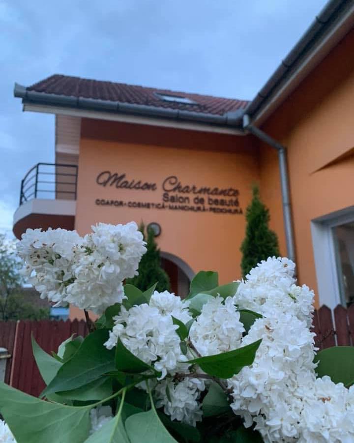 WhatsApp Image 2022-08-19 at 5.30.06 PM